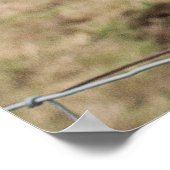 スコティおもしろいットランドカウポスター ポスター (角)