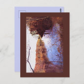 スコティズリトリートハガキ ポストカード (正面/裏面)