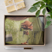 スコティッシュステアパンク 薄葉紙 (ギフト)