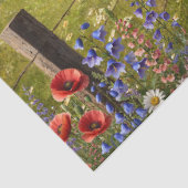 スコティッシュステアパンク 薄葉紙 (詳細)