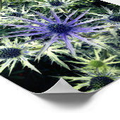 スコティッシュティスルアートプリント ポスター (角)