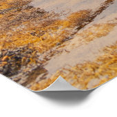 スコティッシュティンバーピア ポスター (角)