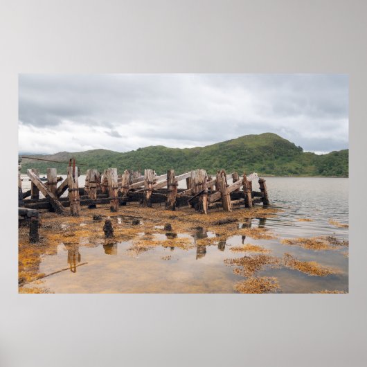 スコティッシュティンバーピア ポスター (正面)