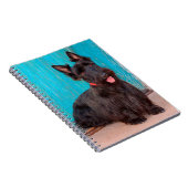 スコティッシュテリアがカラフルの入り口に座って ノートブック (右側)