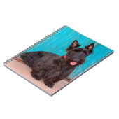 スコティッシュテリアがカラフルの入り口に座って ノートブック (左側)