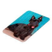 スコティッシュテリアがカラフルの入り口に座って マグネット (左側)