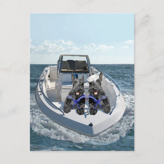 スコティッシュテリアがボートに ポストカード (正面)