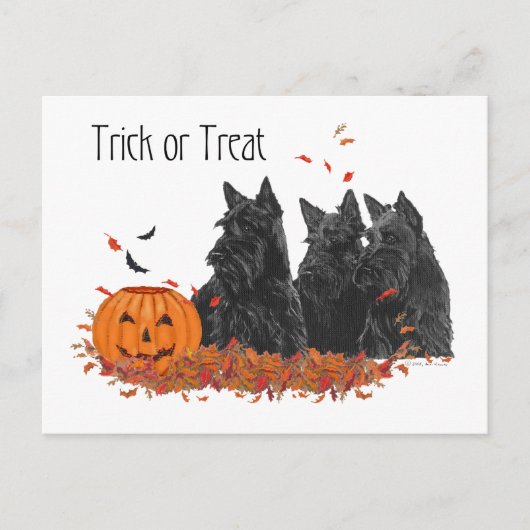 スコティッシュテリアのハロウィン ポストカード (正面)