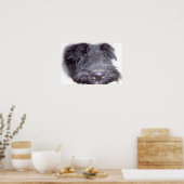 スコティッシュテリア 黒 犬の顔 クローズアップ 鼻 ポスター (キッチン)