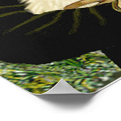 スコティッシュテリア(W5) - MonaLisa ポスター (角)