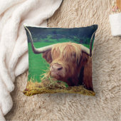 スコティッシュハイランダー牛 クッション (ブランケット)