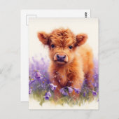 スコティッシュハイランドカウカーフパープルワイルドフラワー ポストカード (正面/裏面)