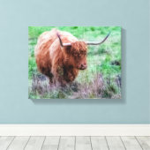 スコティッシュハイランドカウキャンバス キャンバスプリント (インサイチュ (ウッドフロア))