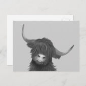 スコティッシュハイランドカウグ ポストカード (正面/裏面)