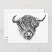 スコティッシュハイランドカウズイラストレーション ポストカード (正面/裏面)