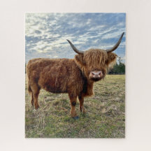 スコティッシュハイランドカウファームフィールド