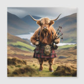 スコティッシュハイランドカウベーパイパー (正面)