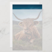 スコティッシュハイランドカウロングブルランチャー 便箋 (正面/裏面)