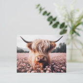 スコティッシュハイランドカウワイルドフラワーフィールド ポストカード (スタンド正面)