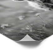 スコティッシュハイランドカーフベビー牛 ポスター (角)