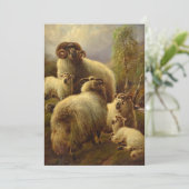 スコティッシュハイランドヒツジ シーズンカード (スタンド正面)