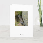 スコティッシュパインマーテンカード カード (裏面)