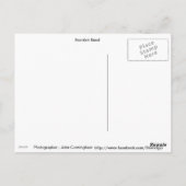 スコティッシュピペバンド ポストカード (裏面)