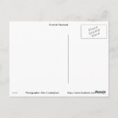 スコティッシュピペバンド ポストカード (裏面)