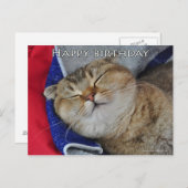 スコティッシュフォールドおもしろいドヌードル猫の誕生日カード ポストカード (正面/裏面)