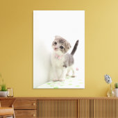 スコティッシュフォールドキットン キャンバスプリント (インサイチュ (リビング))