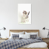 スコティッシュフォールドキットン キャンバスプリント (インサイチュ (寝室))