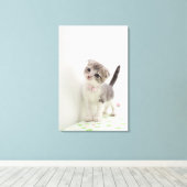 スコティッシュフォールドキットン キャンバスプリント (インサイチュ (ウッドフロア))