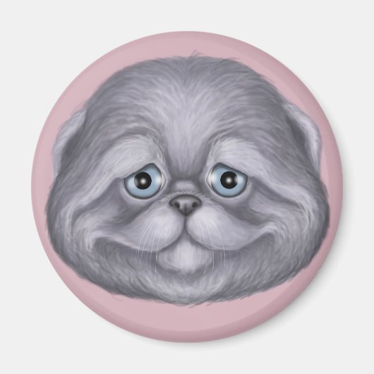 スコティッシュフォールドキットン マグネット (正面)