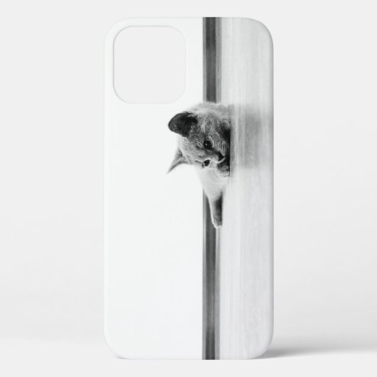 スコティッシュフォールド猫すごい可愛 Case-Mate iPhoneケース (裏面)