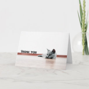 スコティッシュフォールド猫すごい猫キュート「ありがとう」 サンキューカード