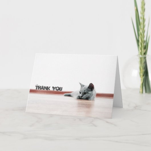 スコティッシュフォールド猫すごい猫キュート「ありがとう」 サンキューカード (正面)