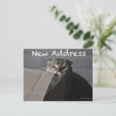スコティッシュフォールド猫のおもしろい引越し住所 ポストカード (スタンド正面)