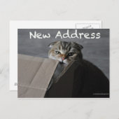 スコティッシュフォールド猫のおもしろい引越し住所 ポストカード (正面/裏面)