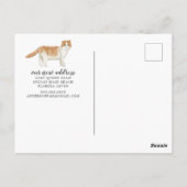 スコティッシュフォールド猫の引っ越し案内はがき ポストカード (裏面)