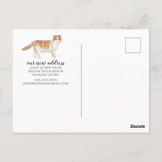 スコティッシュフォールド猫の引っ越し案内はがき ポストカード (裏面)