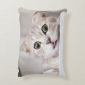 スコティッシュフォールド アクセントクッション (裏面(縦))