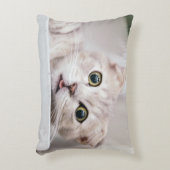 スコティッシュフォールド アクセントクッション (正面(垂直))