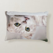 スコティッシュフォールド アクセントクッション (裏面)