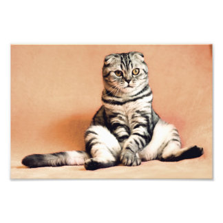 スコティッシュフォールド フォトプリント           