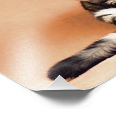 スコティッシュフォールド フォトプリント            (角)