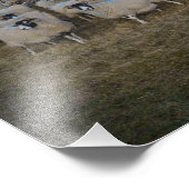 スコティッシュブラックフェイスシープヘルドパノラマ フォトプリント            (角)