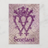 スコティッシュルケンブースパープルケルト結び目模様 ポストカード (正面)