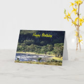 スコティッシュロック カード (黄色い花)