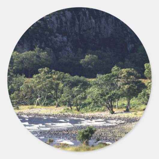 スコティッシュロック ラウンドシール (正面)