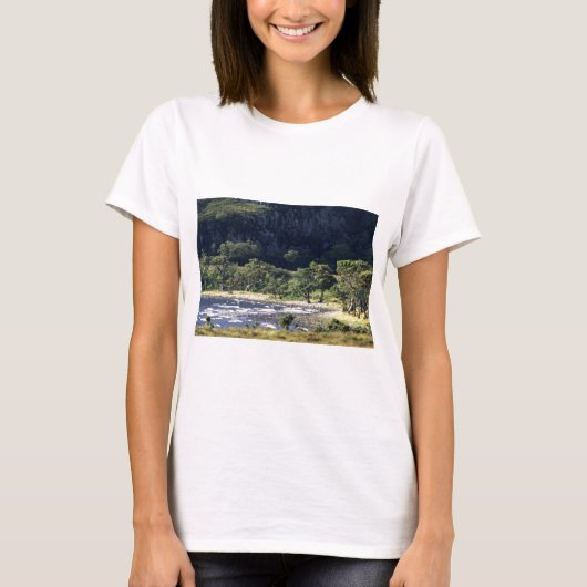 スコティッシュロック Tシャツ (正面)